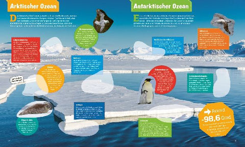 9783788676384 - Sample content