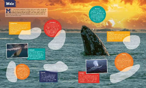 9783788676384 - Sample content