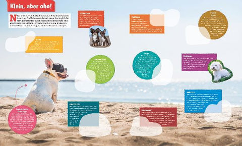 9783788676391 - Sample content