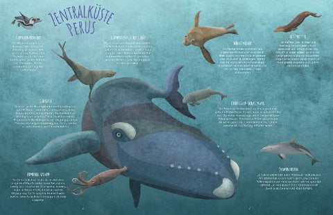 9783788676537 - Sample content