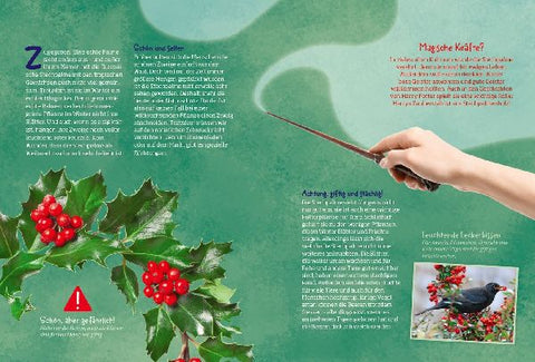 9783788676551 - Sample content