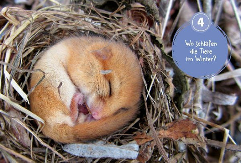 9783788676551 - Sample content