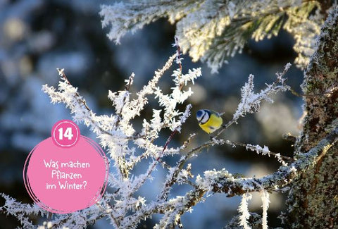 9783788676667 - Sample content