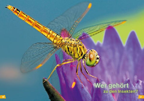 9783788676674 - Sample content