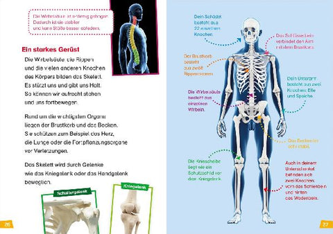 9783788676704 - Sample content