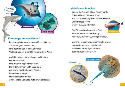 9783788676728 - Sample content