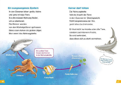 9783788676728 - Sample content