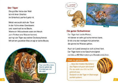 9783788676735 - Sample content