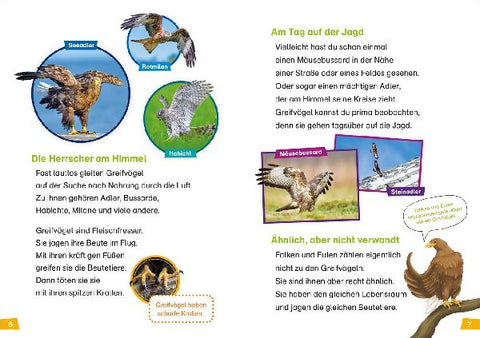 9783788676742 - Sample content