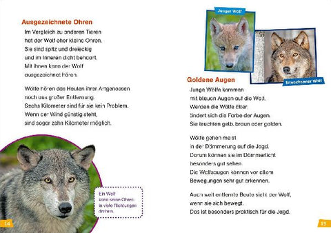 9783788676766 - Sample content