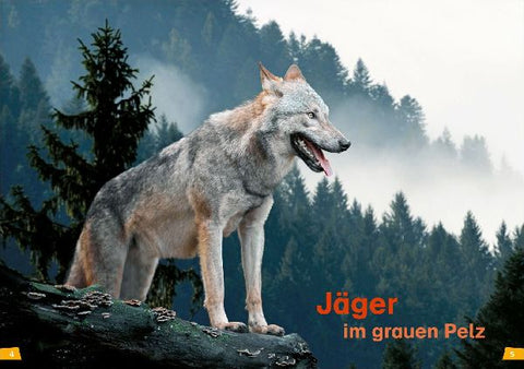 9783788676766 - Sample content