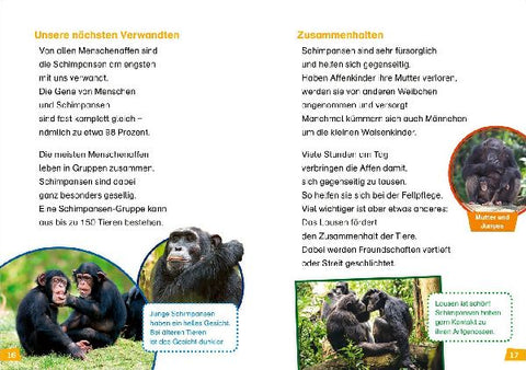 9783788676780 - Sample content