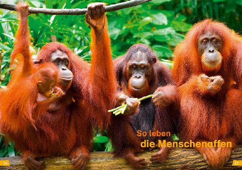 9783788676780 - Sample content