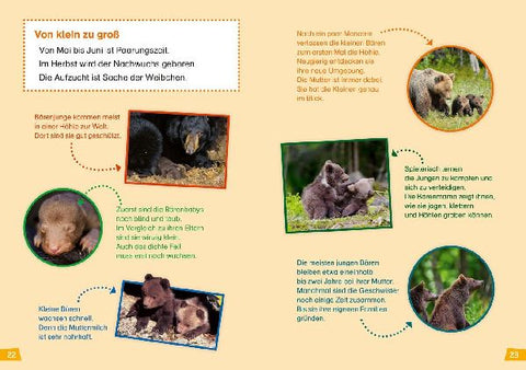 9783788676889 - Sample content