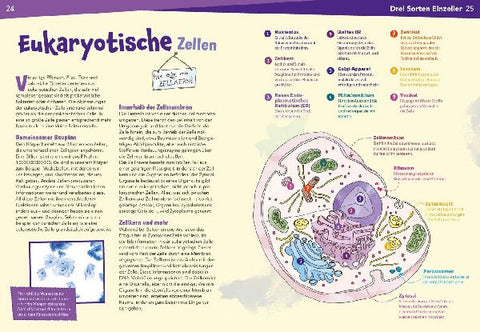 9783788676964 - Sample content