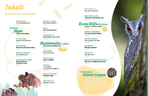 9783788677039 - Sample content