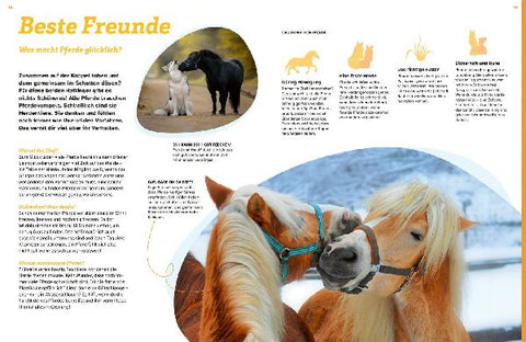 9783788677046 - Sample content