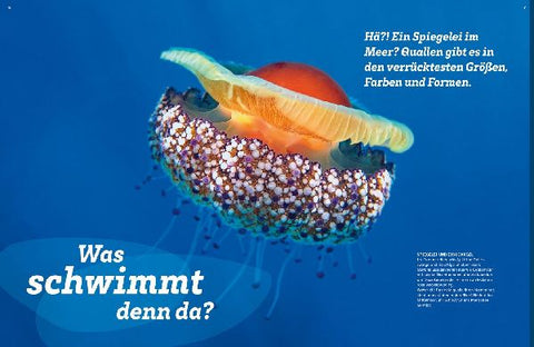 9783788677053 - Sample content