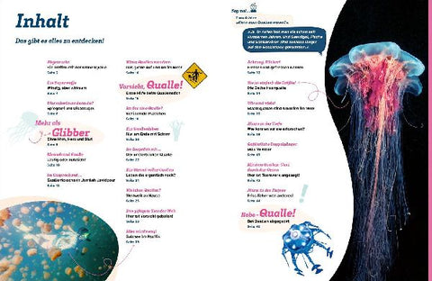 9783788677053 - Sample content