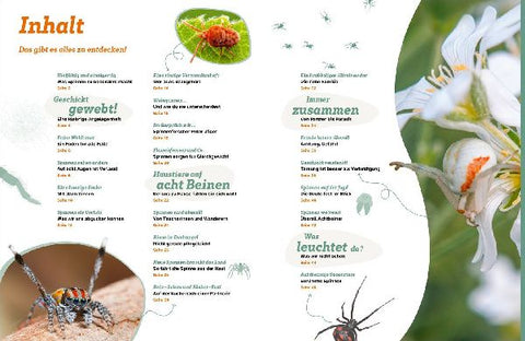 9783788677060 - Sample content