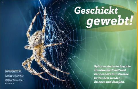 9783788677060 - Sample content