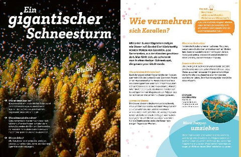 9783788677138 - Sample content