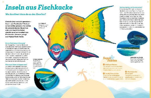 9783788677138 - Sample content