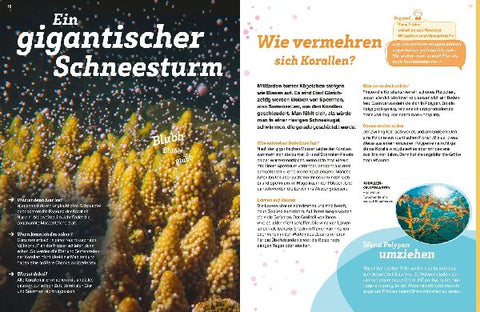 9783788677138 - Sample content