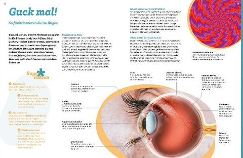 9783788677152 - Sample content