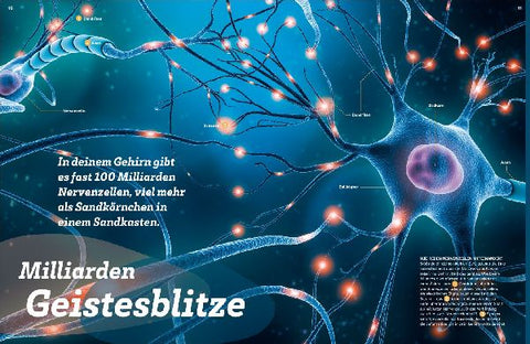 9783788677152 - Sample content