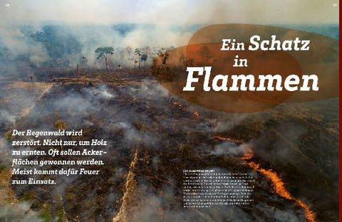 9783788677169 - Sample content