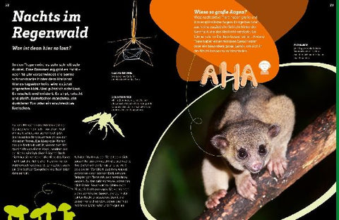 9783788677169 - Sample content