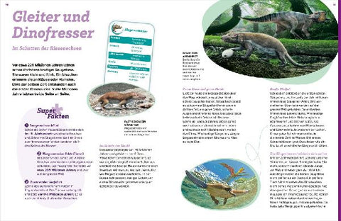 9783788677183 - Sample content