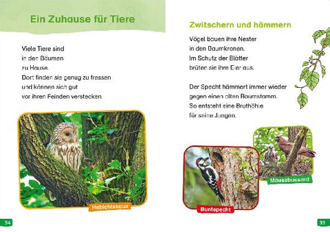 9783788677190 - Sample content