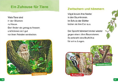 9783788677190 - Sample content