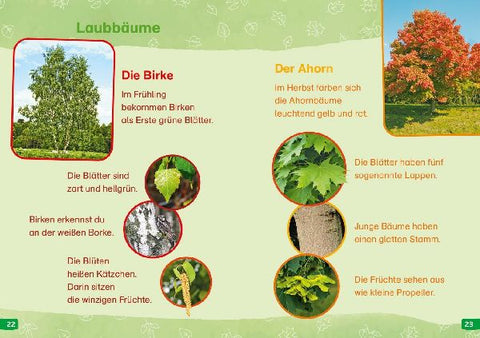 9783788677190 - Sample content