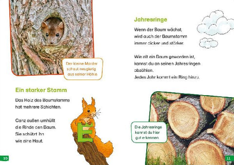 9783788677190 - Sample content