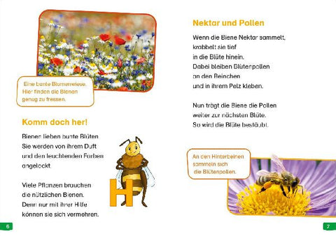 9783788677213 - Sample content