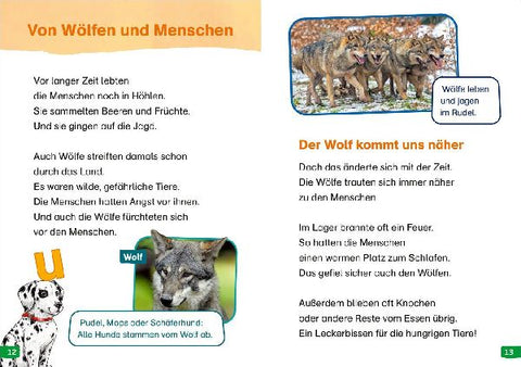 9783788677275 - Sample content