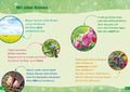 9783788677299 - Sample content