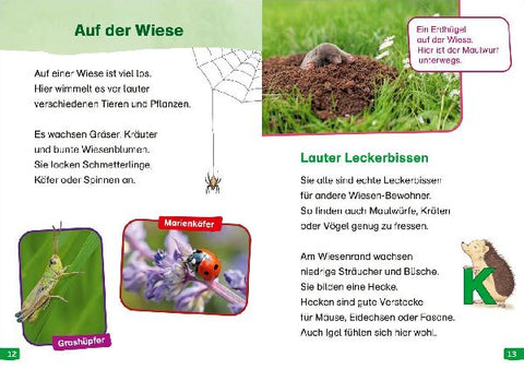 9783788677299 - Sample content