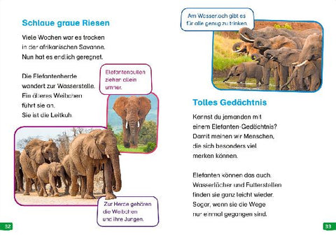 9783788677305 - Sample content