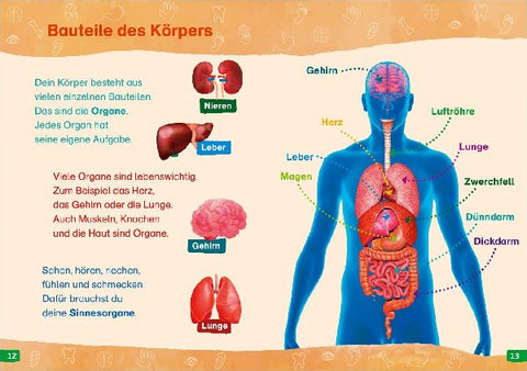 9783788677312 - Sample content