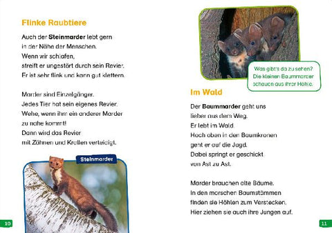 9783788677350 - Sample content