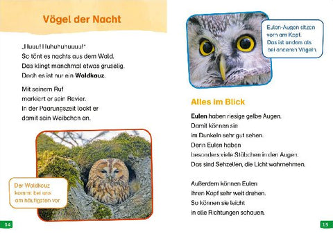 9783788677350 - Sample content