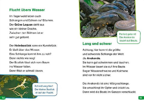 9783788677367 - Sample content