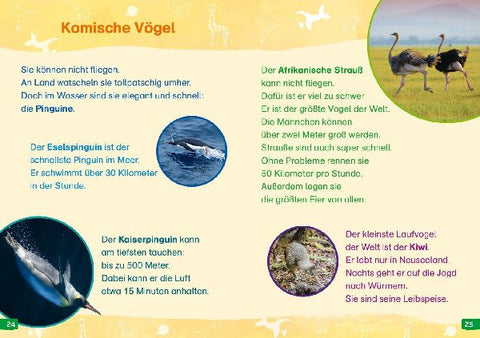 9783788677374 - Sample content