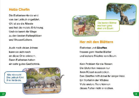 9783788677398 - Sample content