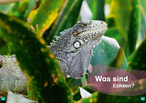 9783788677404 - Sample content