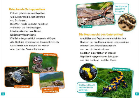 9783788677404 - Sample content